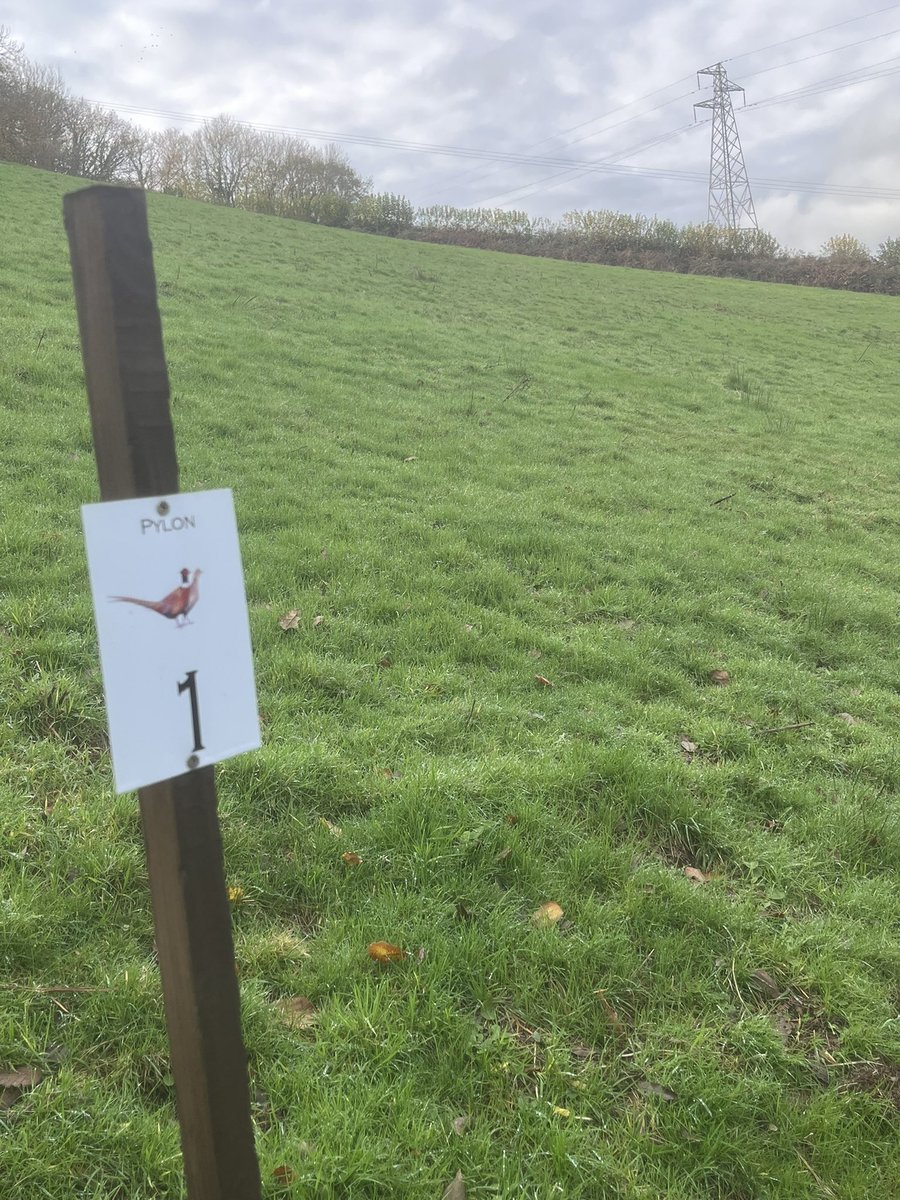 Longwool's tweet image. The aptly named “Pylon” drive 
Hopefully no errant shots and a power outage 😂😂