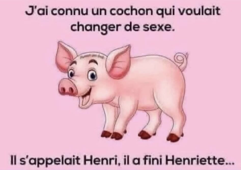 yvan_theriault's tweet image. 🤓