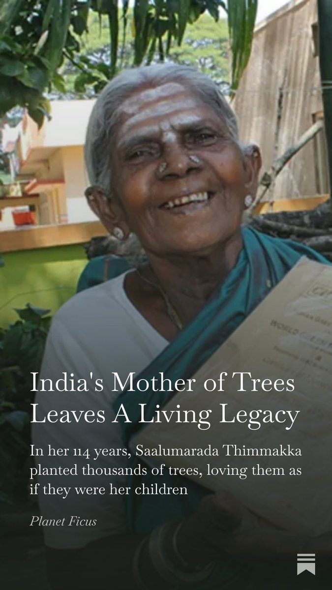 shanahanmike's tweet photo. In her 114 years, Saalumarada Thimmakka planted thousands of trees, loving them as if they were her children. She passed away yesterday. Here is my short account of her life and legacy. https://t.co/v8h4ezMmaV https://t.co/Wvqv0NRvud
