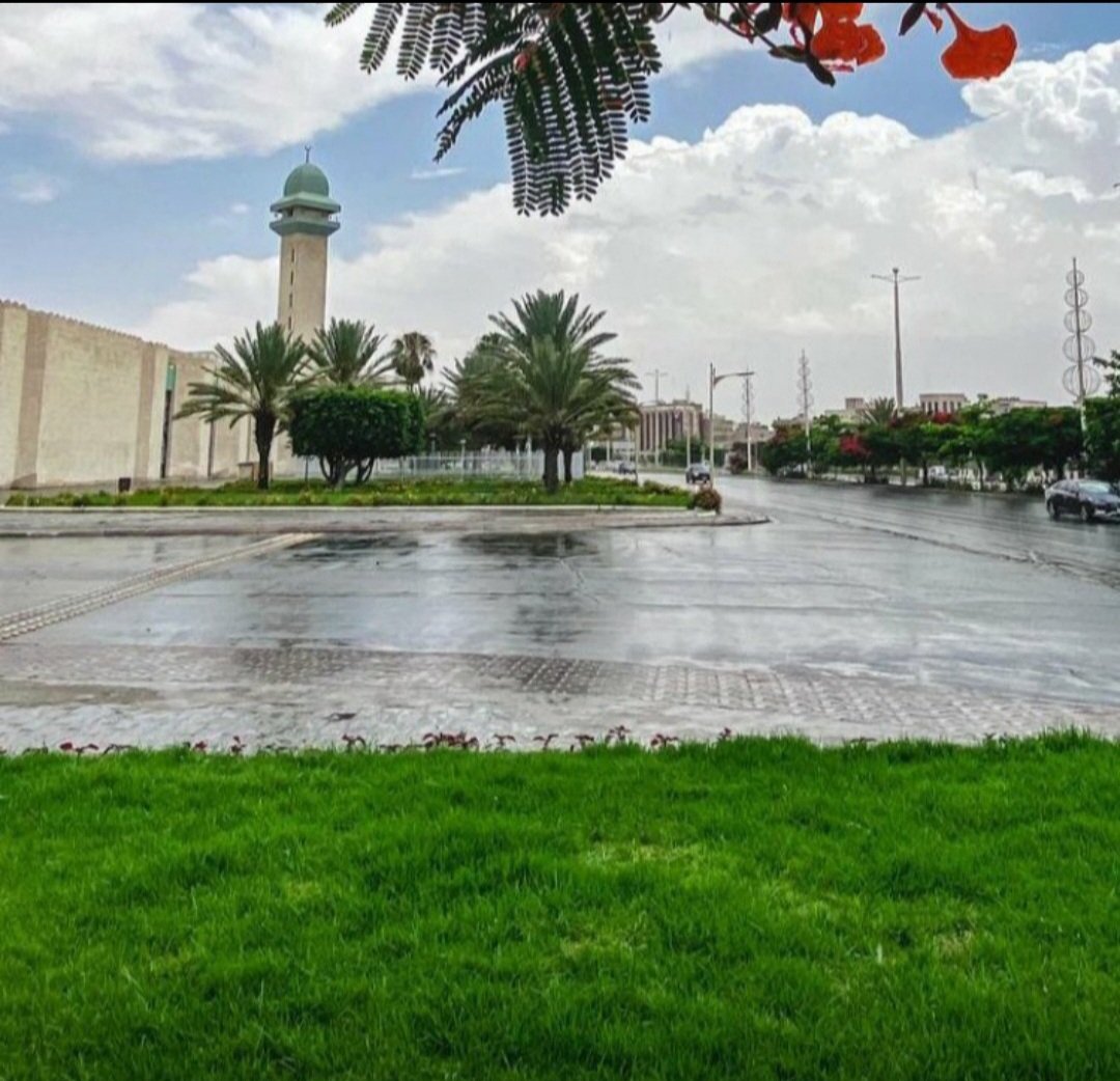 الطائف عليها غيم والغيم ذويّق
توشح الثوب الركامي وجاها...

ماوده يهل الهتون المدافيق
وده يقبلها ويلمس ثراها.....❤️

#الطائف_الان