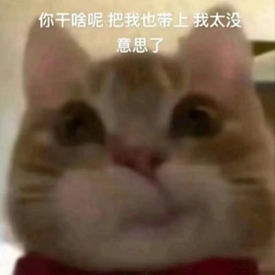 更了一条掉粉100我没招了