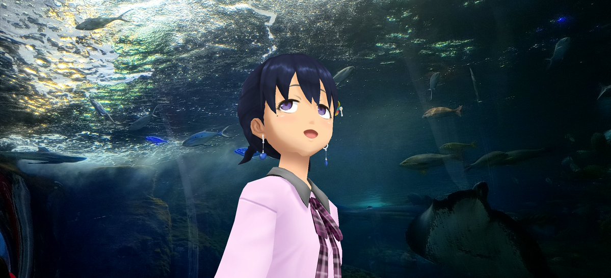 Aj785Aj's tweet image. 【サトカと大水槽】

｢おお…やはり全部盛りの大水槽は見応えあるですね。あのエイとか水の中なのに空を飛んでいるみたいです。

　ラーメンみたいに言うなし。小魚の群れは鰯かな？

｢北海道のニクス城で見た銀河水槽を思い出したです。

　あったあった！

#スクスト2
#スクストカメラ
#えのすい