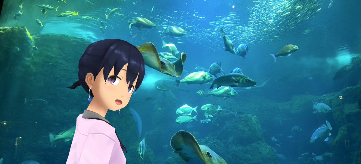 Aj785Aj's tweet image. 【サトカと大水槽】

｢おお…やはり全部盛りの大水槽は見応えあるですね。あのエイとか水の中なのに空を飛んでいるみたいです。

　ラーメンみたいに言うなし。小魚の群れは鰯かな？

｢北海道のニクス城で見た銀河水槽を思い出したです。

　あったあった！

#スクスト2
#スクストカメラ
#えのすい