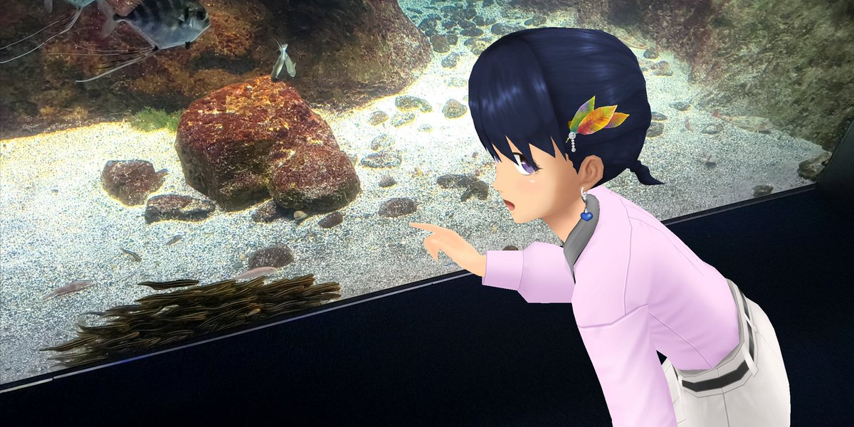 Aj785Aj's tweet image. 【サトカと大水槽】

｢おお…やはり全部盛りの大水槽は見応えあるですね。あのエイとか水の中なのに空を飛んでいるみたいです。

　ラーメンみたいに言うなし。小魚の群れは鰯かな？

｢北海道のニクス城で見た銀河水槽を思い出したです。

　あったあった！

#スクスト2
#スクストカメラ
#えのすい