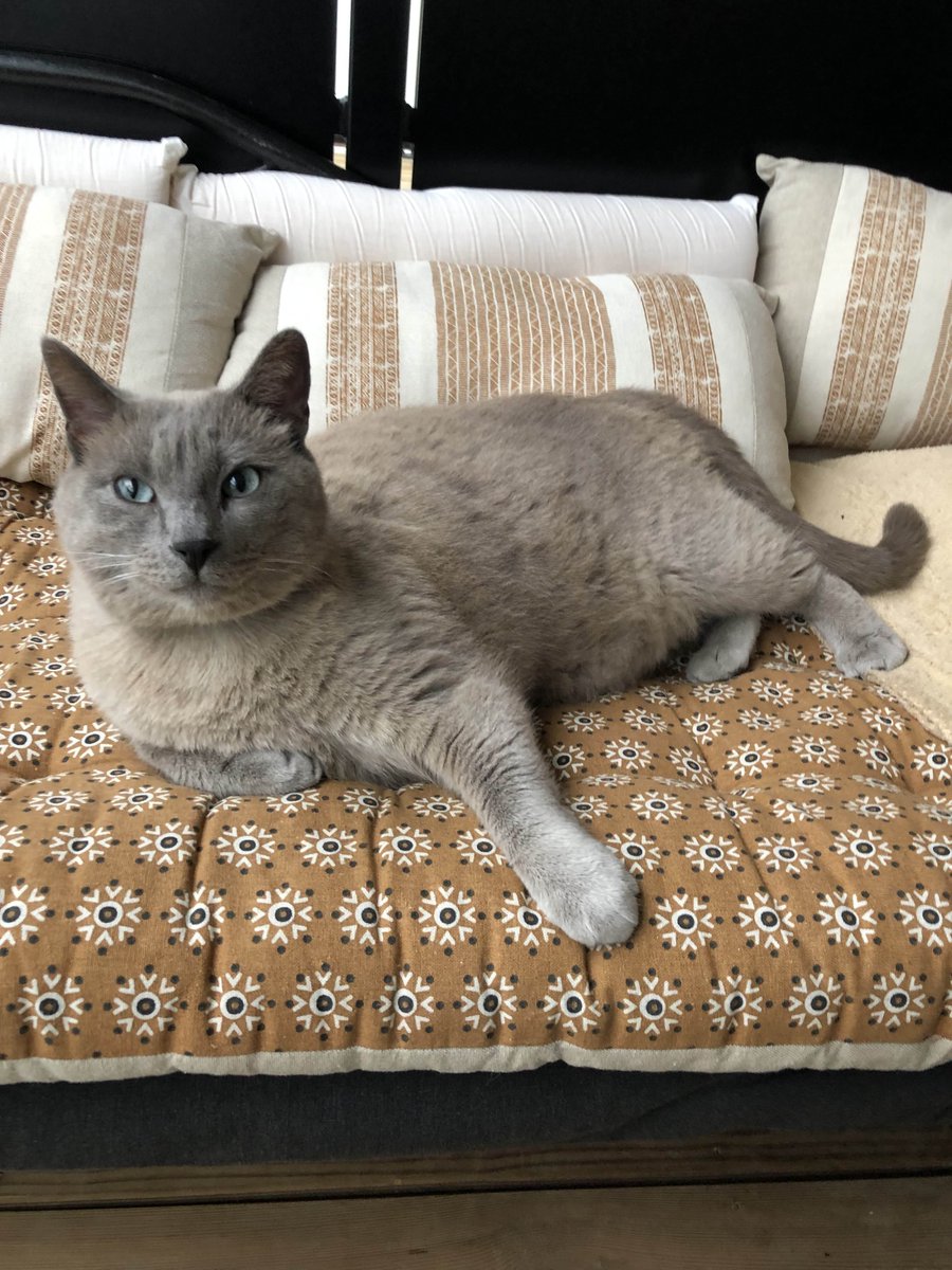 mous9_'s tweet image. Baarak Allah u fikoum à celles et ceux qui m'aideront quel que soit le geste, que ce soit un partage ou bien un don, qu'Allah vous le rende éternellement au centuple. 

leetchi.com/fr/c/sauver-to…