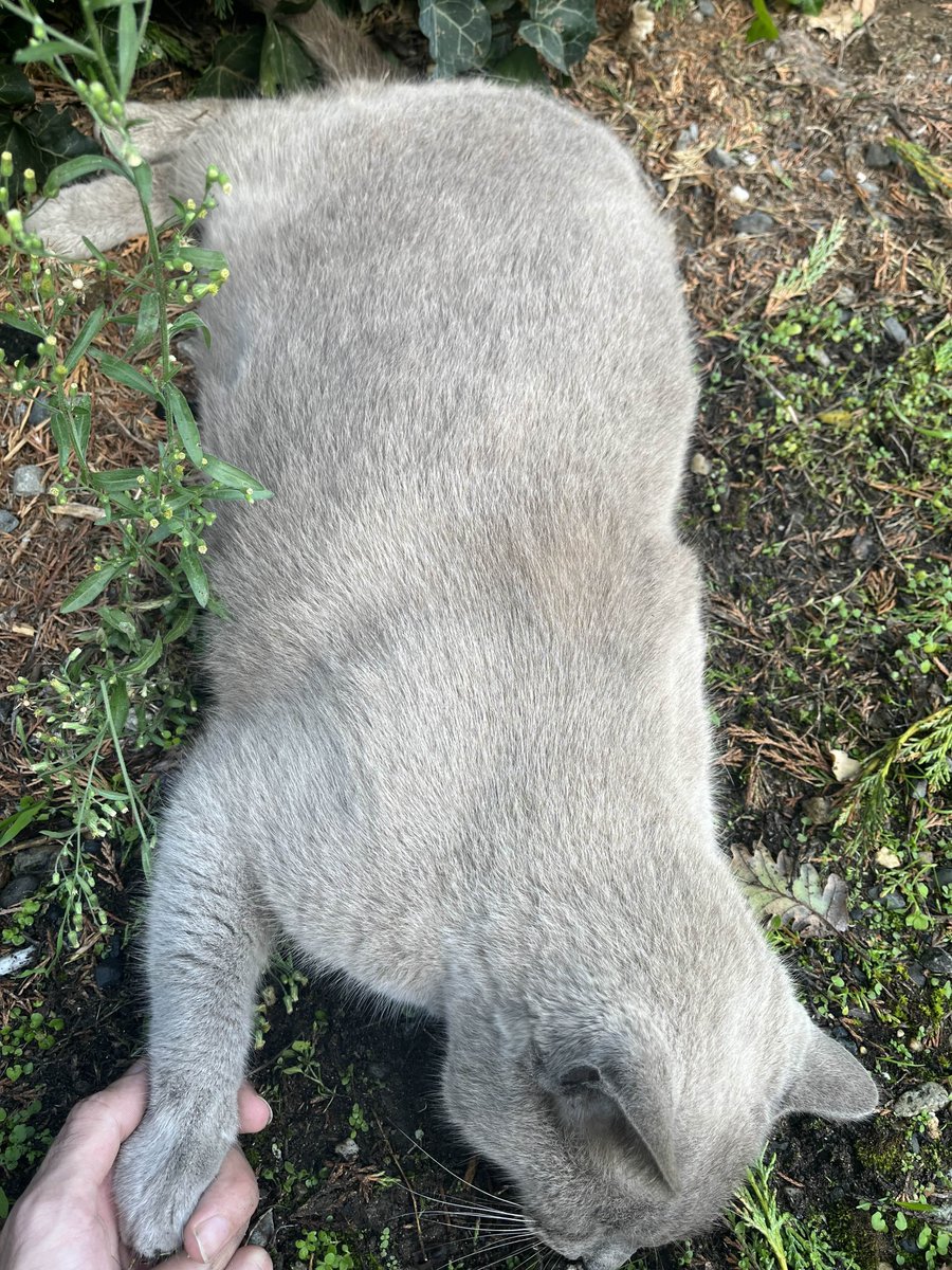 mous9_'s tweet image. Baarak Allah u fikoum à celles et ceux qui m'aideront quel que soit le geste, que ce soit un partage ou bien un don, qu'Allah vous le rende éternellement au centuple. 

leetchi.com/fr/c/sauver-to…