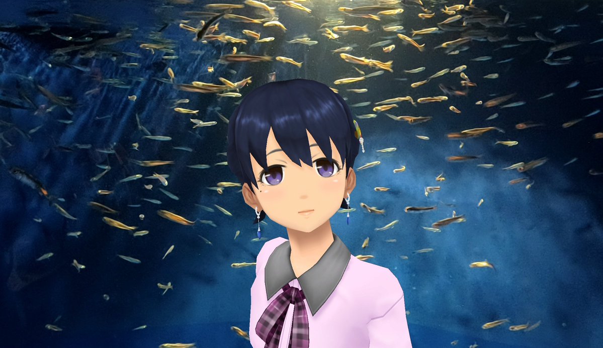 Aj785Aj's tweet image. 【サトカとご当地水槽】

　宮島水族館に牡蠣の水槽があるようにここはしらすの展示をしてるんだな……

｢生しらすを越える新鮮なしらす……じゅるり

　ダメだ……完全に寿司屋の水槽を見る目になってやがる！

#スクスト2
#スクストカメラ
#えのすい