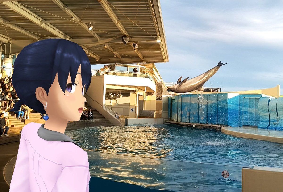 Aj785Aj's tweet image. 【サトカとイルカショー】

　おー、凄い凄い！良くあんなに飛べるよね。

｢プールもそれほど広い訳ではないですから助走もそこそこでたいしたもんです。

　サトカも変身してるときは華麗な空中機動で格好いいよ？

｢……イルカと比べるとこですかね？

#スクスト2
#スクストカメラ
#えのすい