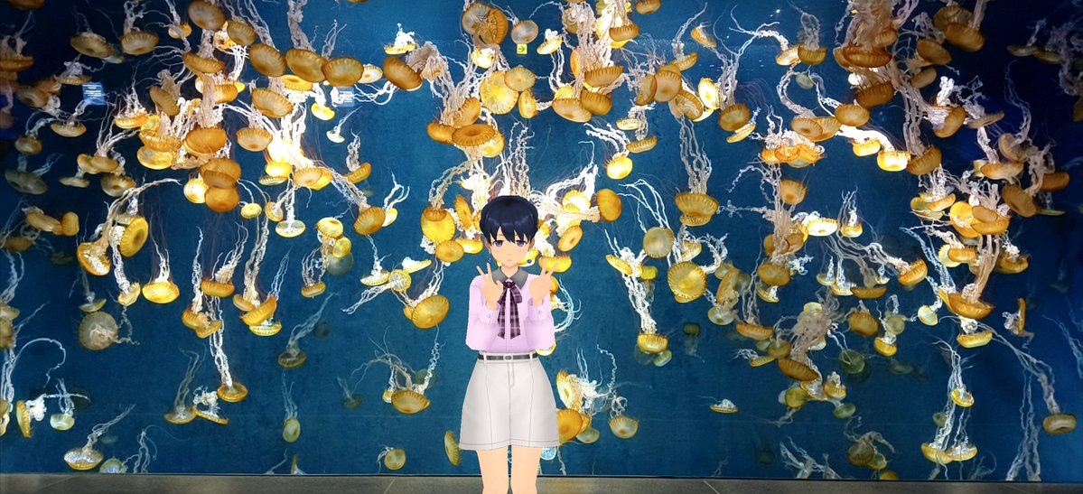 Aj785Aj's tweet image. 【サトカと名物】

　えのすいと言えばクラゲらしいよ？

｢確かにクラゲ 充実してるですね。

　ねえ、サトカ！この赤いクラゲ、上のパーツも下のパーツも何かアレだよね？( ≖ω≖​)

｢はぁ…いい歳して男子中学生みたいなムーブはやめるですよ。

#スクスト2
#スクストカメラ
#えのすい