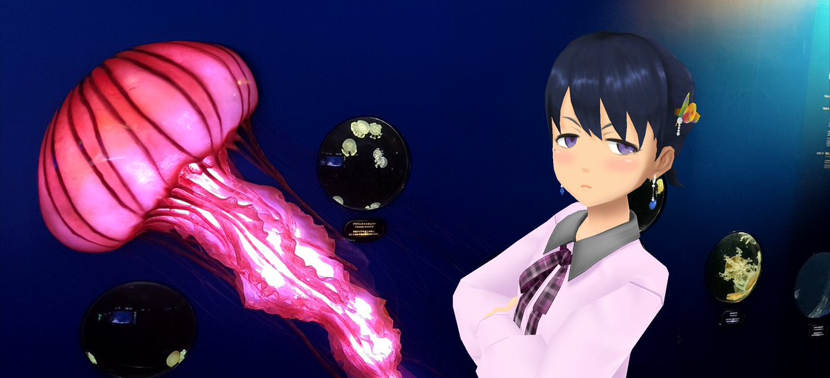 Aj785Aj's tweet image. 【サトカと名物】

　えのすいと言えばクラゲらしいよ？

｢確かにクラゲ 充実してるですね。

　ねえ、サトカ！この赤いクラゲ、上のパーツも下のパーツも何かアレだよね？( ≖ω≖​)

｢はぁ…いい歳して男子中学生みたいなムーブはやめるですよ。

#スクスト2
#スクストカメラ
#えのすい