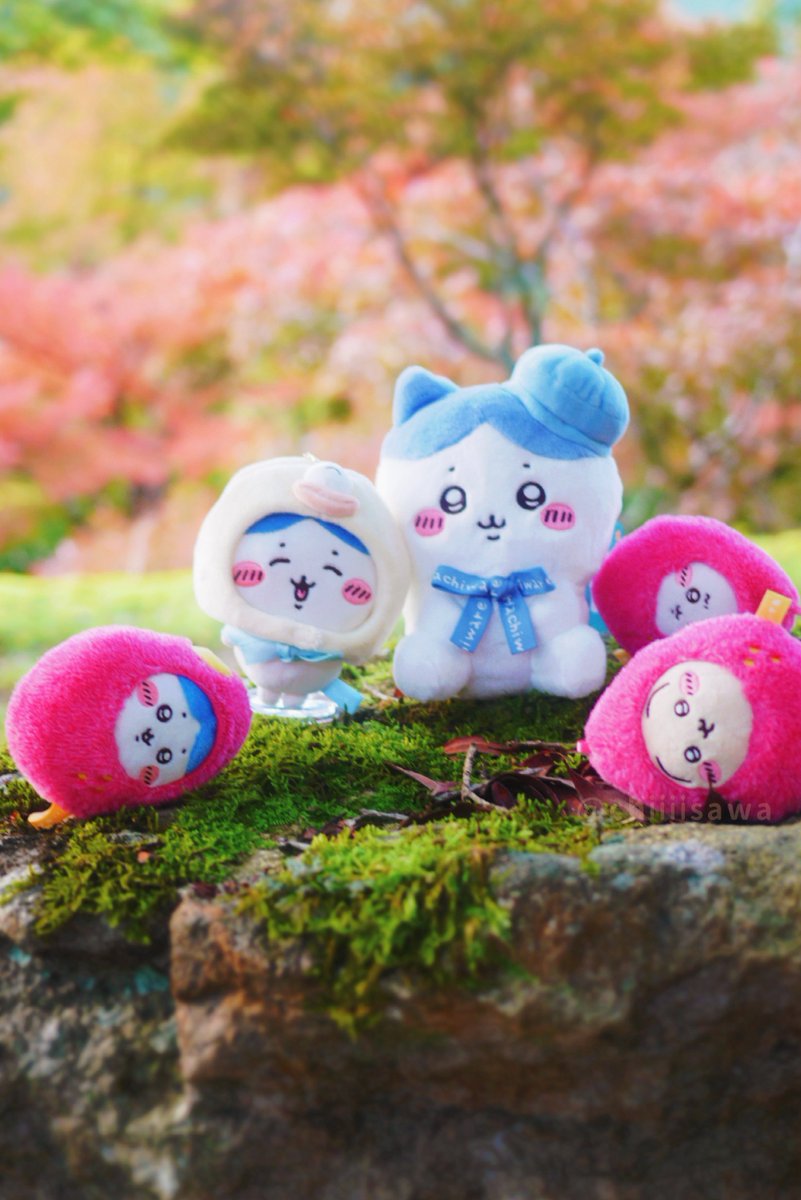 ちいさわ🐟 (@chiiiisawa) / Posts / X