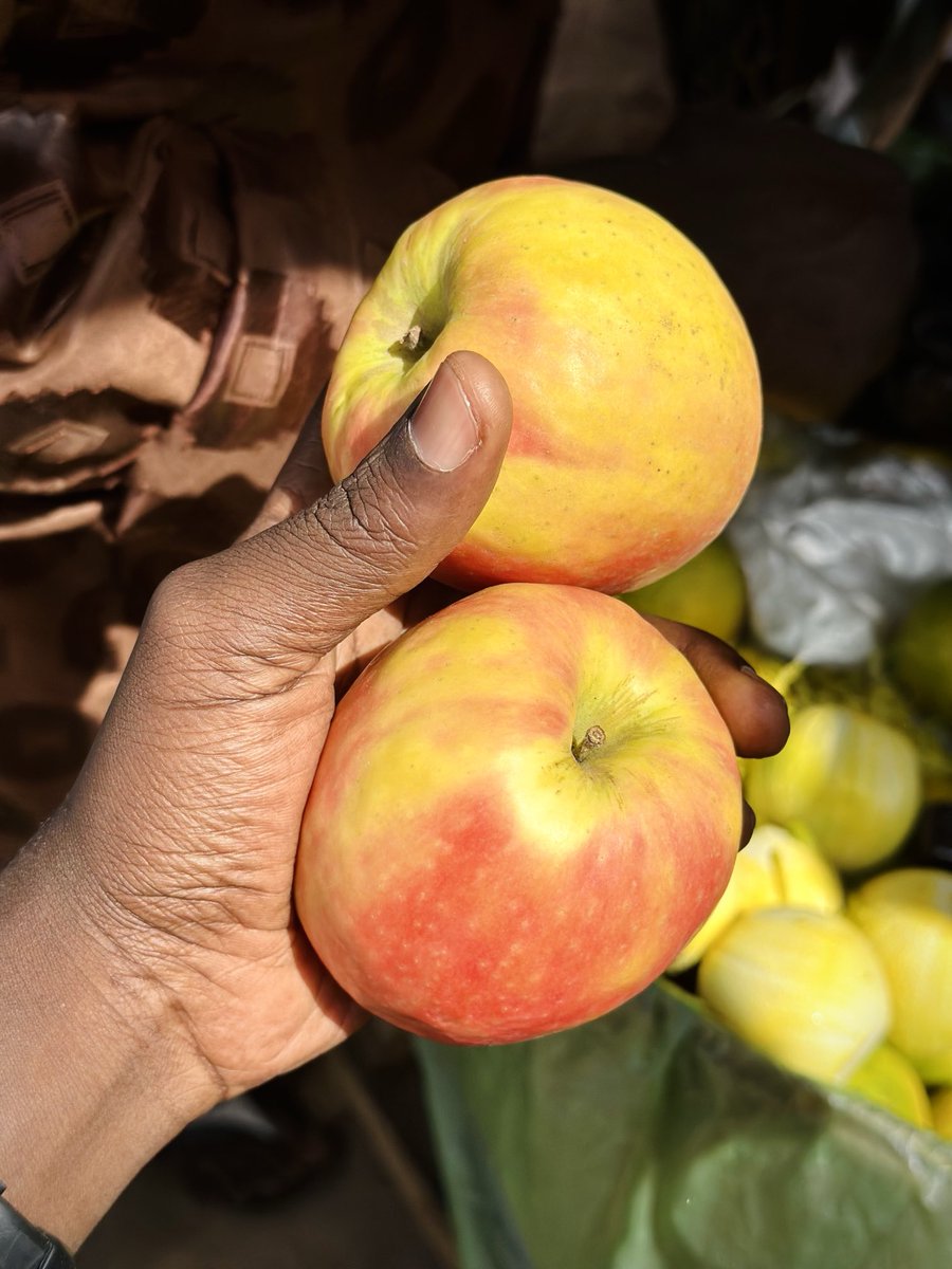 AndyjnrUmaru's tweet image. Let’s see a Picture of you holding anything please 🙏🏾❤️.

Don’t air me pls….