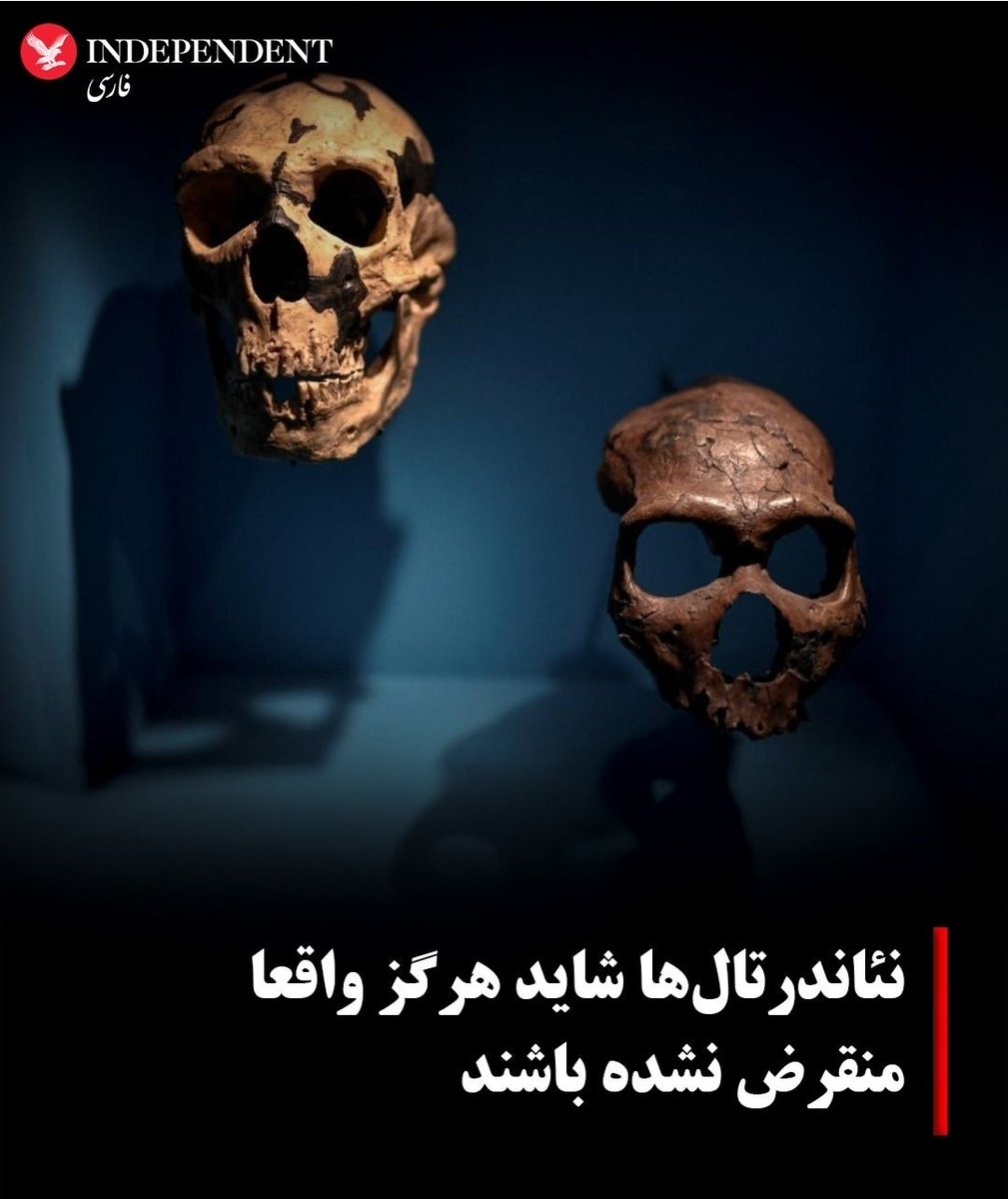 من بعد از ورود به توییتر و دیدن توییت مردم: