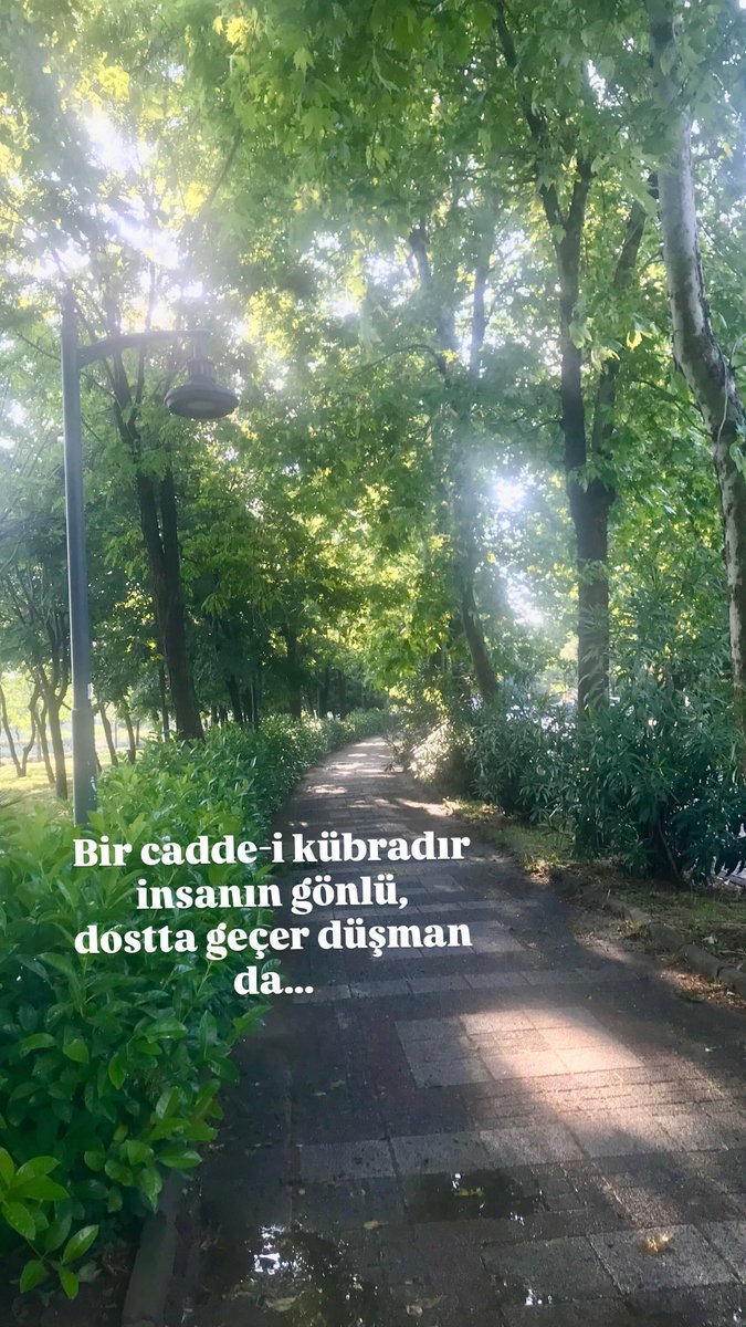 Handan Özduygu (@handanozduygu) on Twitter photo 