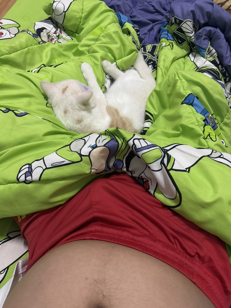 บิ๊กที่แปลว่าใหญ่ tweet media