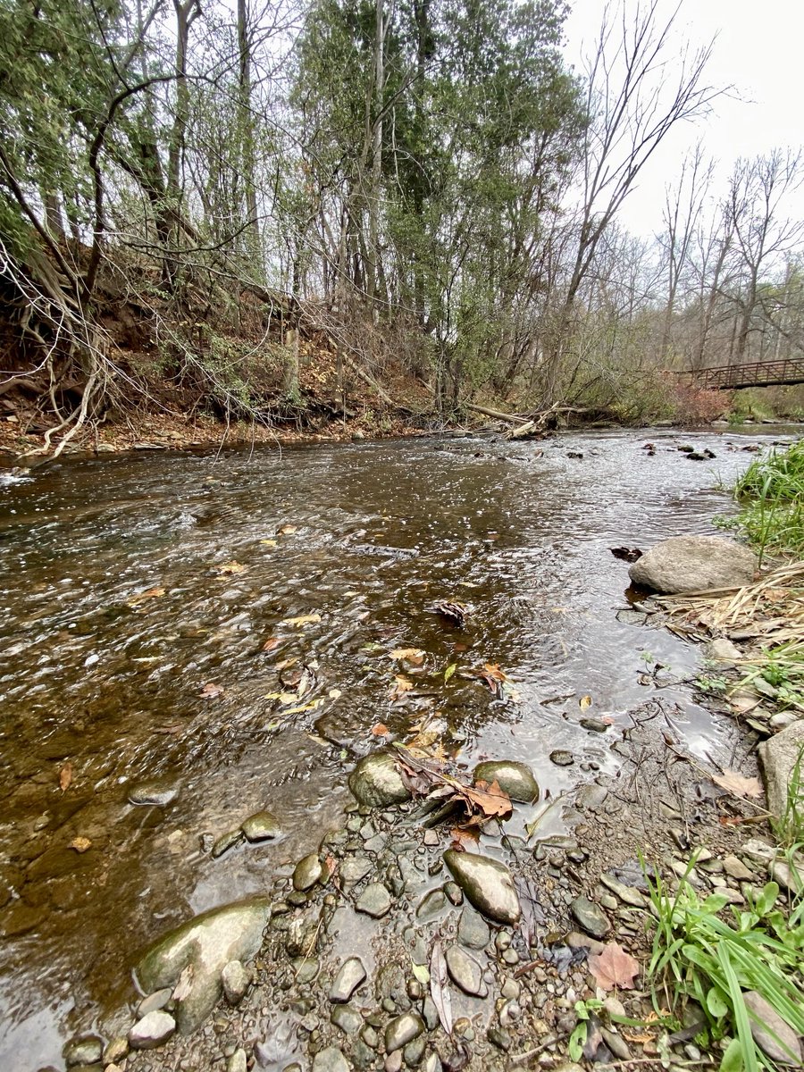 Good morning, happy Saturday 😊