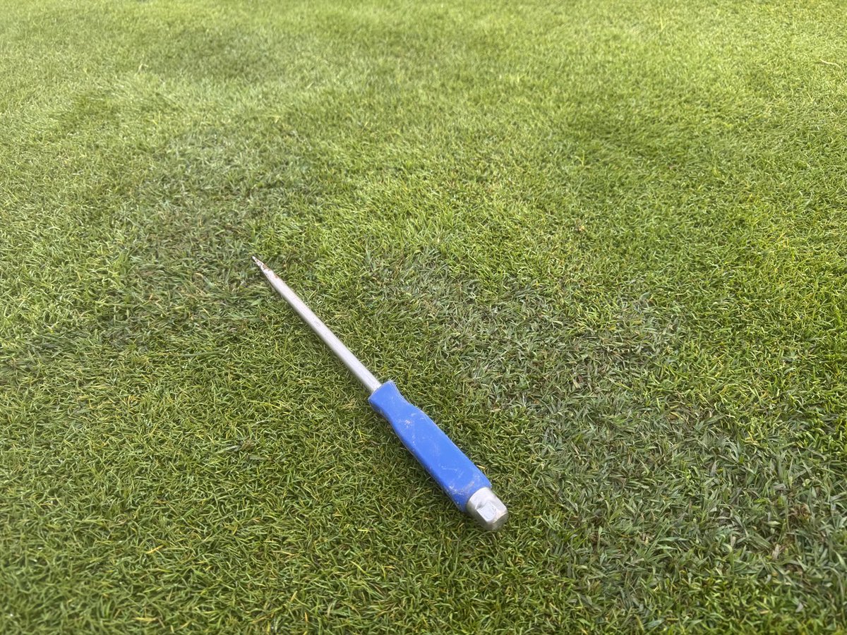 The interaction of a susceptible host, a pathogen, and favorable environment. Cool season pythium. 🏳️