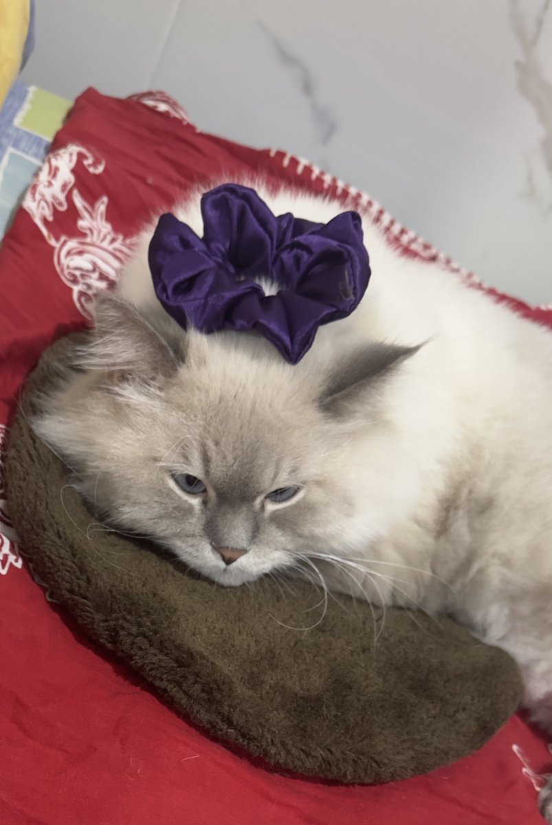 Tak kuasa nahan kantuk