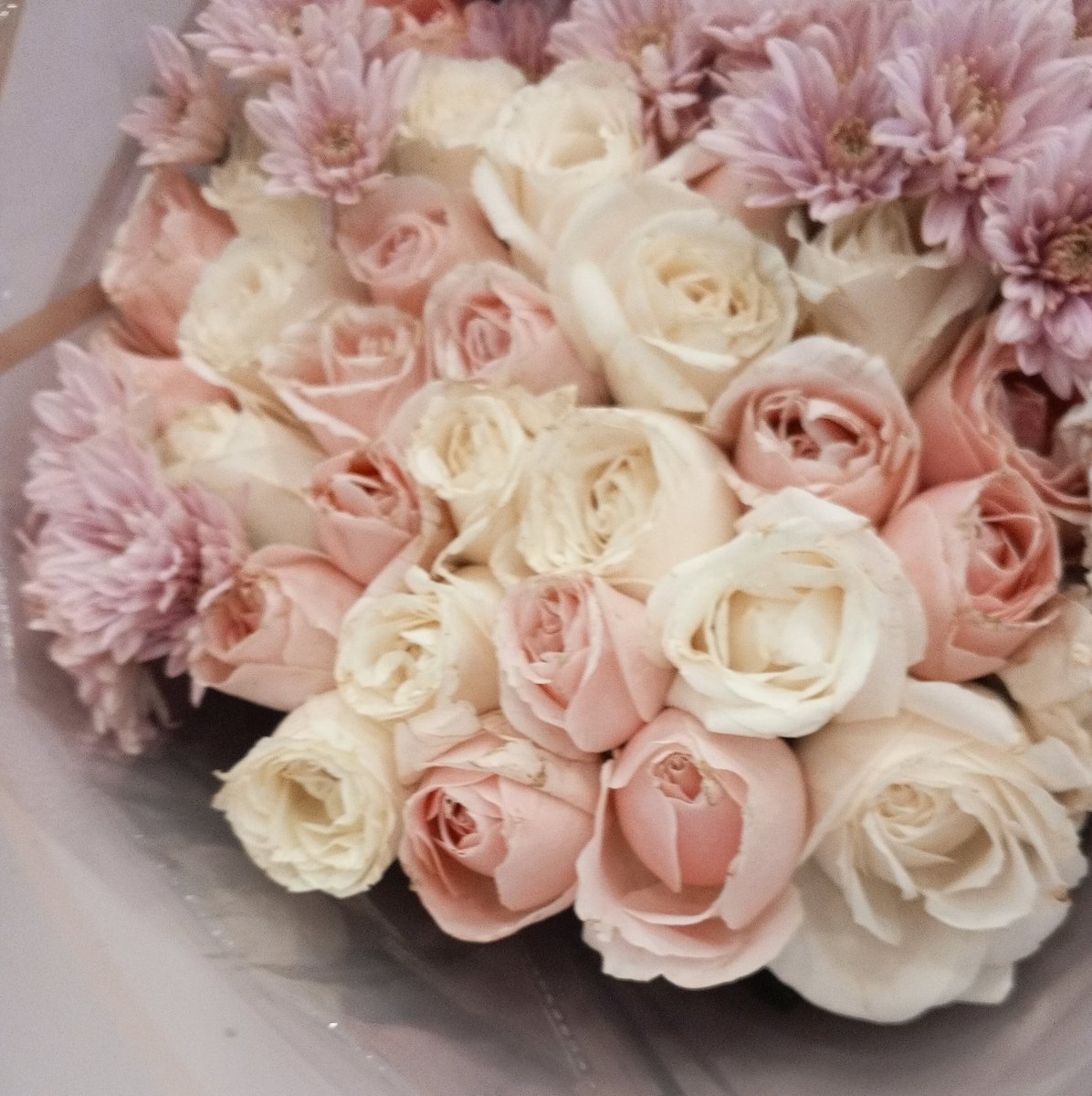 jeruk keprok ⚢ tweet media