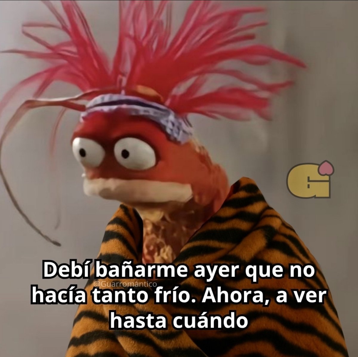El Guarromántico tweet media
