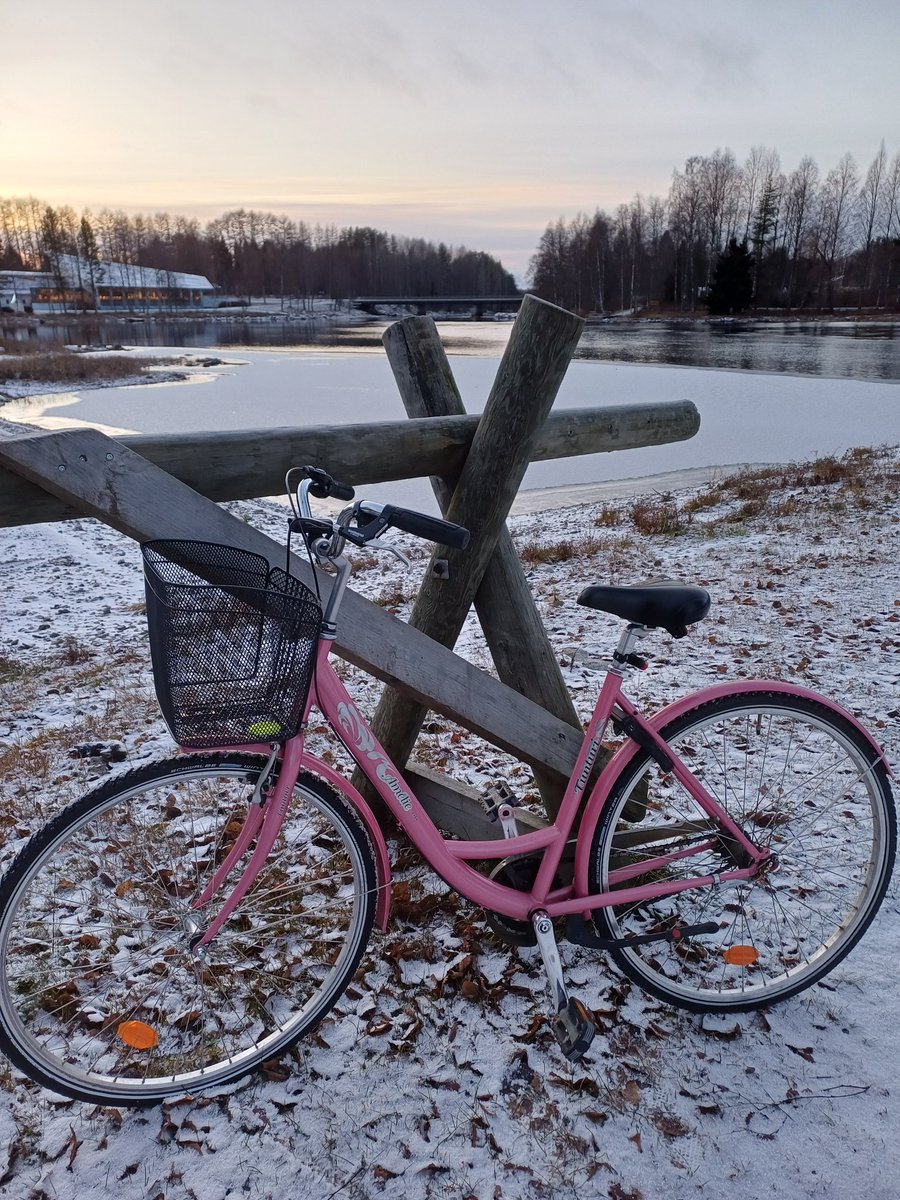 Talvirengastesti vaativissa Kainuun talviolosuhteissa. 🤭 Pitoa on.