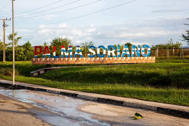 El aroma a aceite, metal e historias se mezcla en la base de ferrobuses de Palma Soriano. Allí, entre el ir y venir de pasajeros y el ronquido de los motores, se encuentra Minervo Samora Isaac, quien, a sus casi 80 años, con la sabiduría serena.
#MITRANS #Cuba #ferrocarril #tren