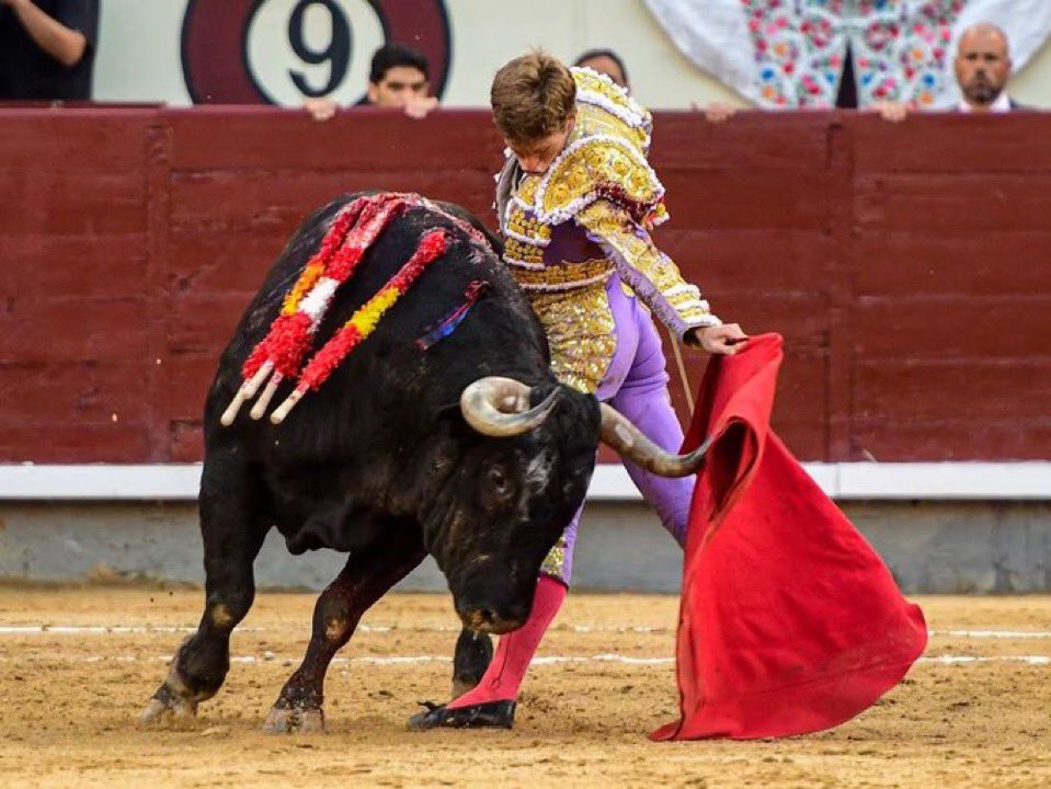 TorosLasVentas (@lastorosventas) on Twitter photo 