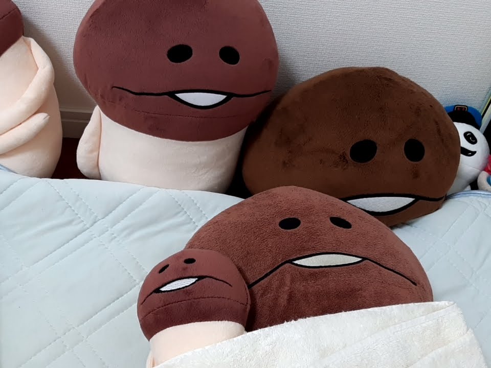 nameki0805's tweet image. 6年前の今日
どういう意図で取ったのかわからないけど、可愛いので貼っときます( ˊ̱˂˃ˋ̱ )
#なめこ