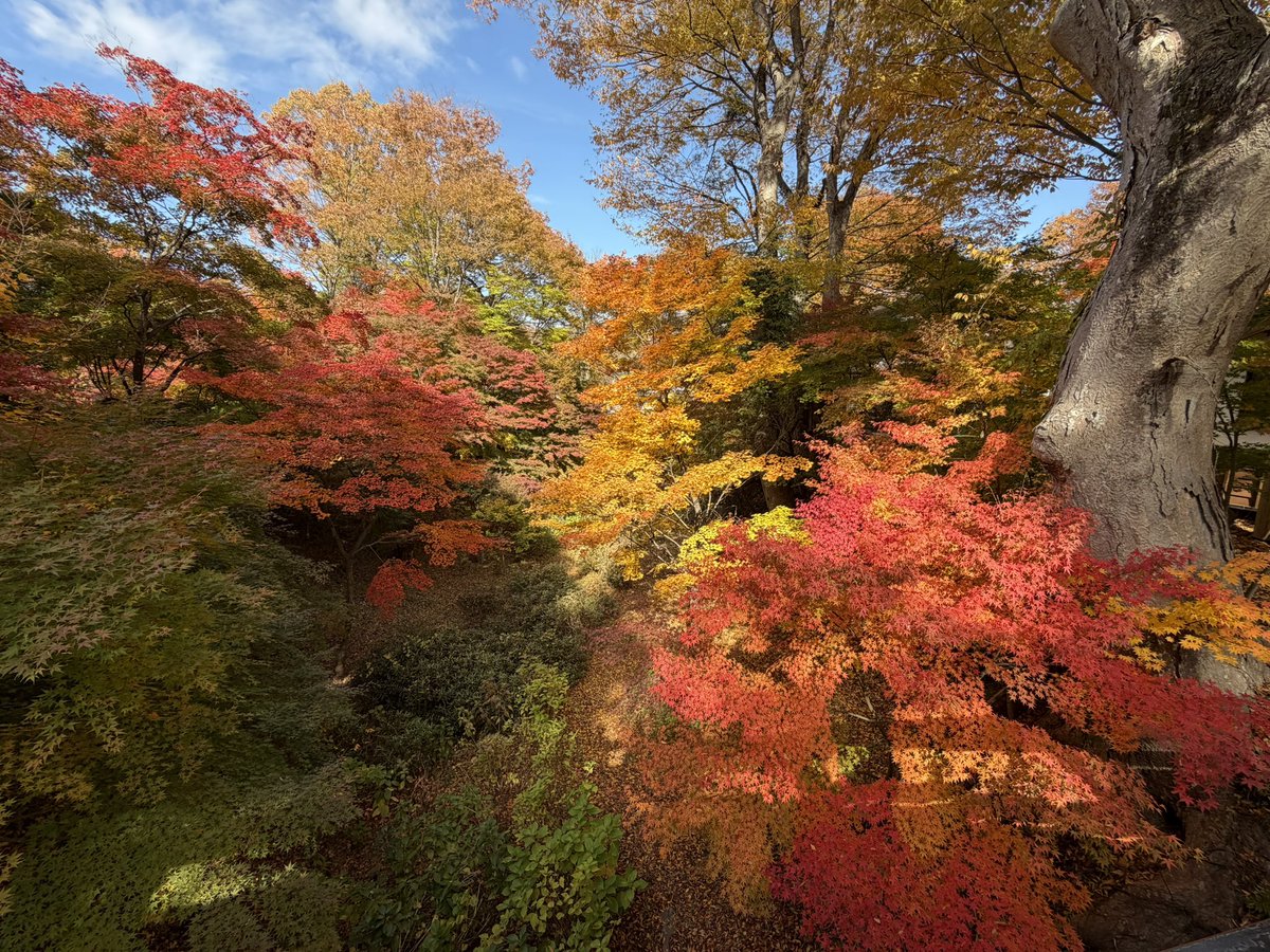 tsune1783's tweet photo. 本日は観光のみ、小諸城址懐古園 https://t.co/f0lc1cGgE1