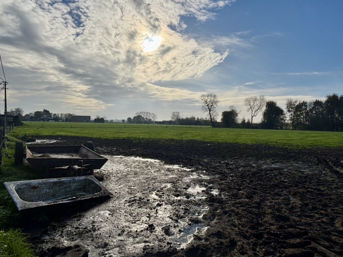 EddyMisman's tweet image. #vrtweer ⁦@BuienradarBE⁩ ⁦@HetweerinBelgie⁩ Beernem 11u52 #basis🏃‍♂️