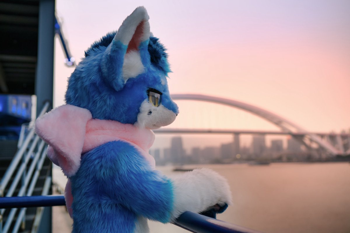 橙色噬元兽🔜Hifurry tweet media