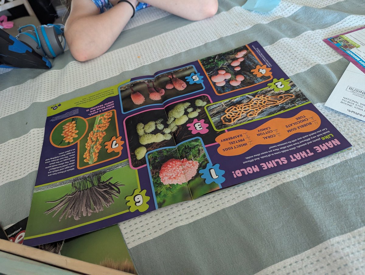 Dr. Christina tweet media