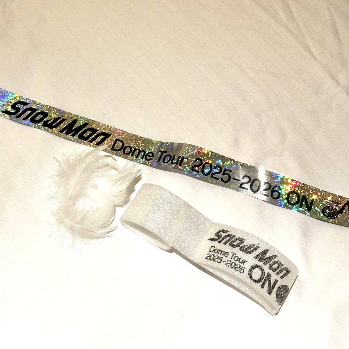 Snow Man ON 北海道 11/15】 落下物 ・銀テープ ・羽 ・音符(横に