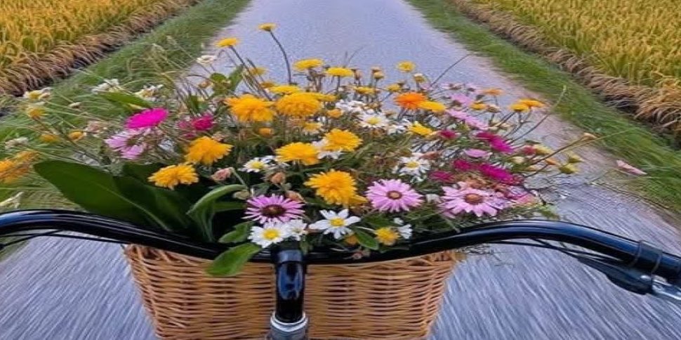 <a href="/133sal7/">‏‏⁧صـــــــــا⁩لح</a> روعاتك يا صالح صح إلسانك