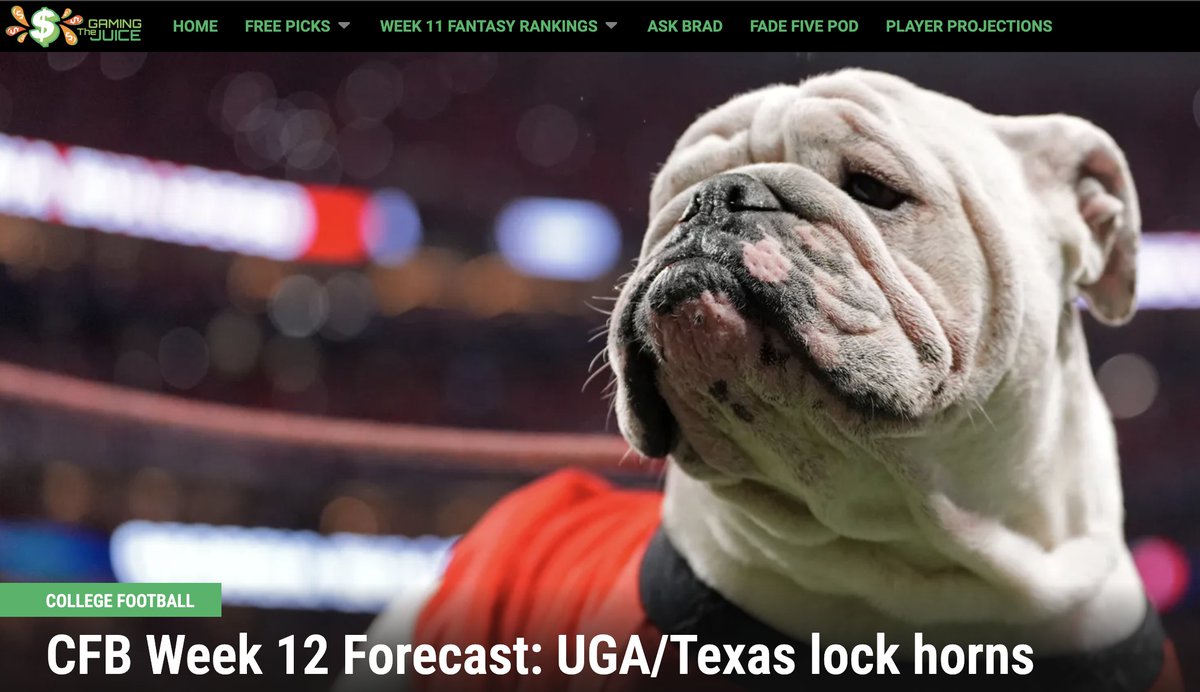 NoisyHuevos's tweet image. COLLEGE FOOTBALL FANS! 

Check out betting thoughts from @Matt_Fortuna, @BenWittenstein and @natejacobson1 FREE on The Gaming Juice -- including Texas/Georgia. 

thegamingjuice.com/2025/11/13/col…