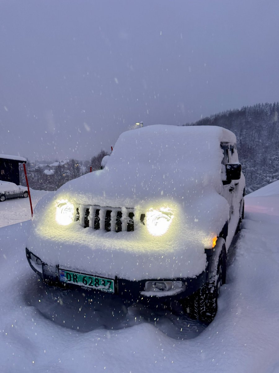 Каждый житель севера в душе немного археолог. Очень часто его зимнее утро начинается с раскопок.