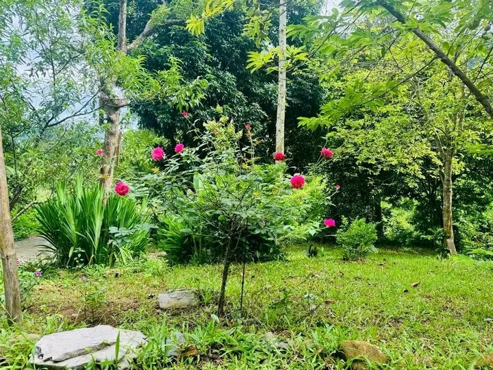 Sometimes in life, people we trust or love can hurt us. When this happens, we often feel sad, disappointed, or even angry.