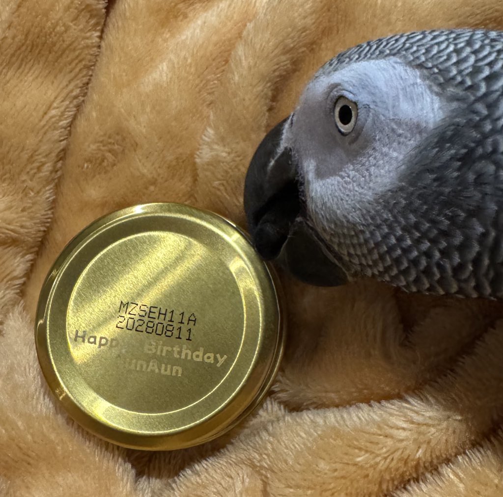 HBD TO  10,11,12 

(ME), <a href="/85SomeoneloveU/">🍊🦁✨在入梦 | ช่วงเข้าถ้ำ✨🦁🍊</a>,<a href="/DaDa_N_NS/">✩𝓓𝓪𝓓𝓪 ✩⁸⁵🛹☘🎄🍃</a> 

ไหว้สา <a href="/IRY_265/">((Slow🐌)) 💚🐷叫我啵啵噢🐷💚IBO🐱🏍️</a> 🎁 น่ารักมากกกกก มีคนพิสูจน์กลิ่นให้แล้ว 

🎂🎁💚🍀

ปีหน้าอยู่ด้วยกันไปอีกปีและอึกปีน้าาาาาา ~