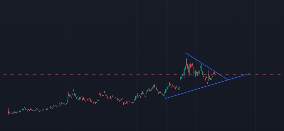 Mr. Bidder tweet media