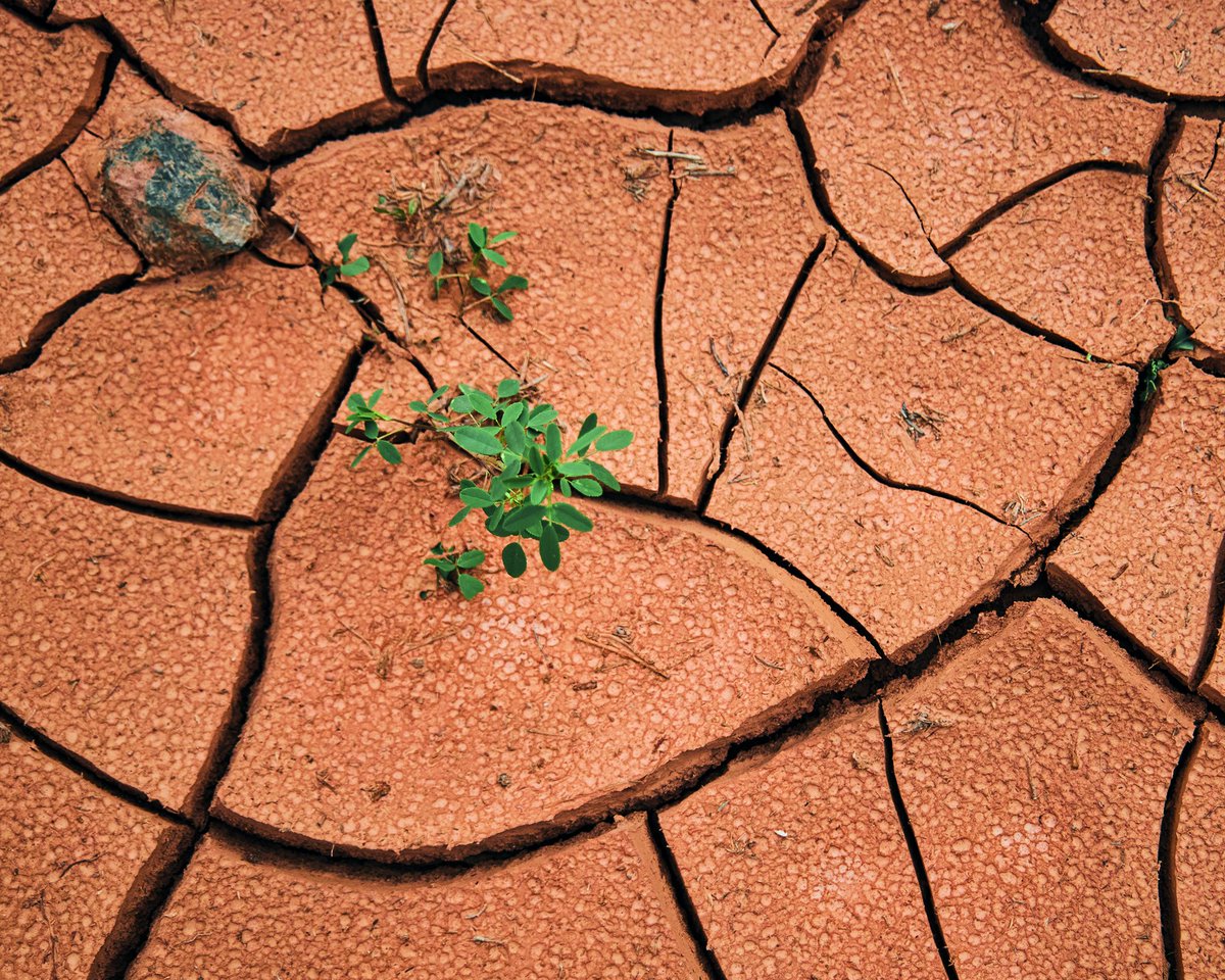 _negar_ir's tweet image. واضحه که، پرمصرفی فشار میاره به کل محله. آخرش همه بی‌آب می‌مونیم. حالا اگه همه رعایت کنیم و لااقل یه کم بی دغدغه قطعی آب زندگی کنیم چی میشه؟!
#آب_برای_زندگی
#آب_تداوم_حیات