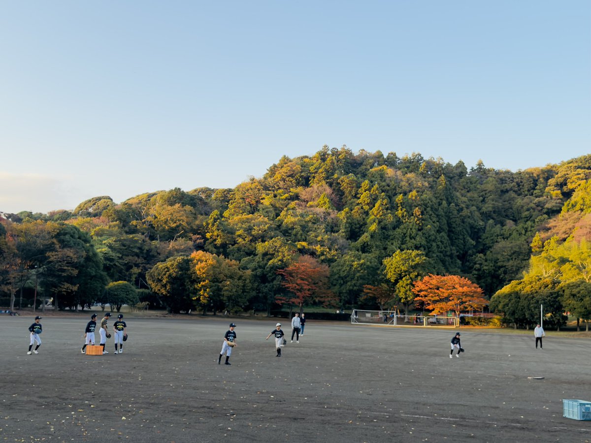 南郷上ノ山公園の銀杏並木を見てきました！🍂
黄金色に輝く並木道は、歩くだけで気分がリフレッシュできます😄🍂
二子山回廊もおすすめです🚶‍♀️
zushitrip.com/itineraries/de…
#逗子旅 #葉山 #南郷上ノ山公園 #イチョウ #黄葉