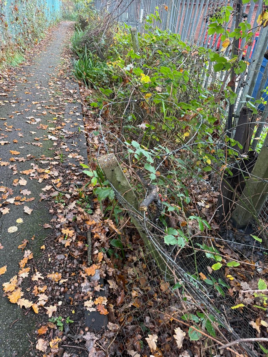 G1LEV's tweet image. #networkrail #gwrhelp #disabledaccess The boundary fence by footpath at Sandhurst Station has come down. Not clear in picture but metal fencing and razor wire is blocking passage. Due to the road way under the bridge been closed to traffic and pedestrians this is the only way.