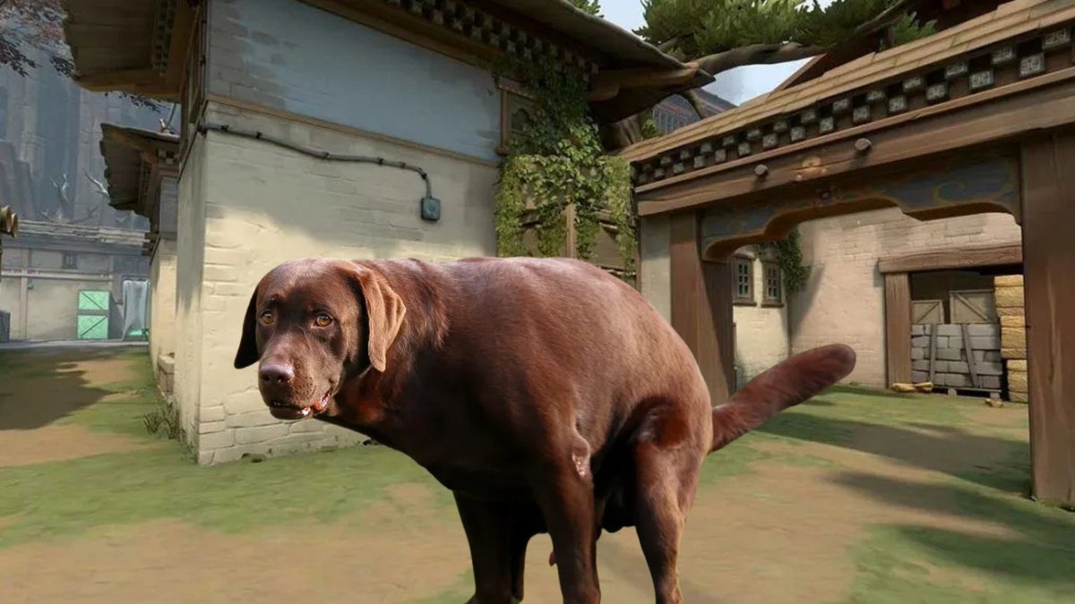 FastLearnerVLR's tweet image. Ce soir, c’est Haven en mode Premier ⚡️

Map à chier, mais on va jouer comme si elle était bien 💩

GL à toutes les équipes !💪