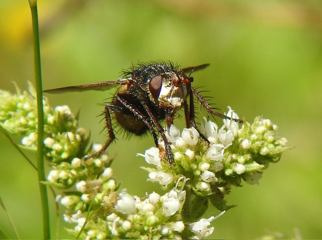 J@a.p (@jose_ap19) on Twitter photo 