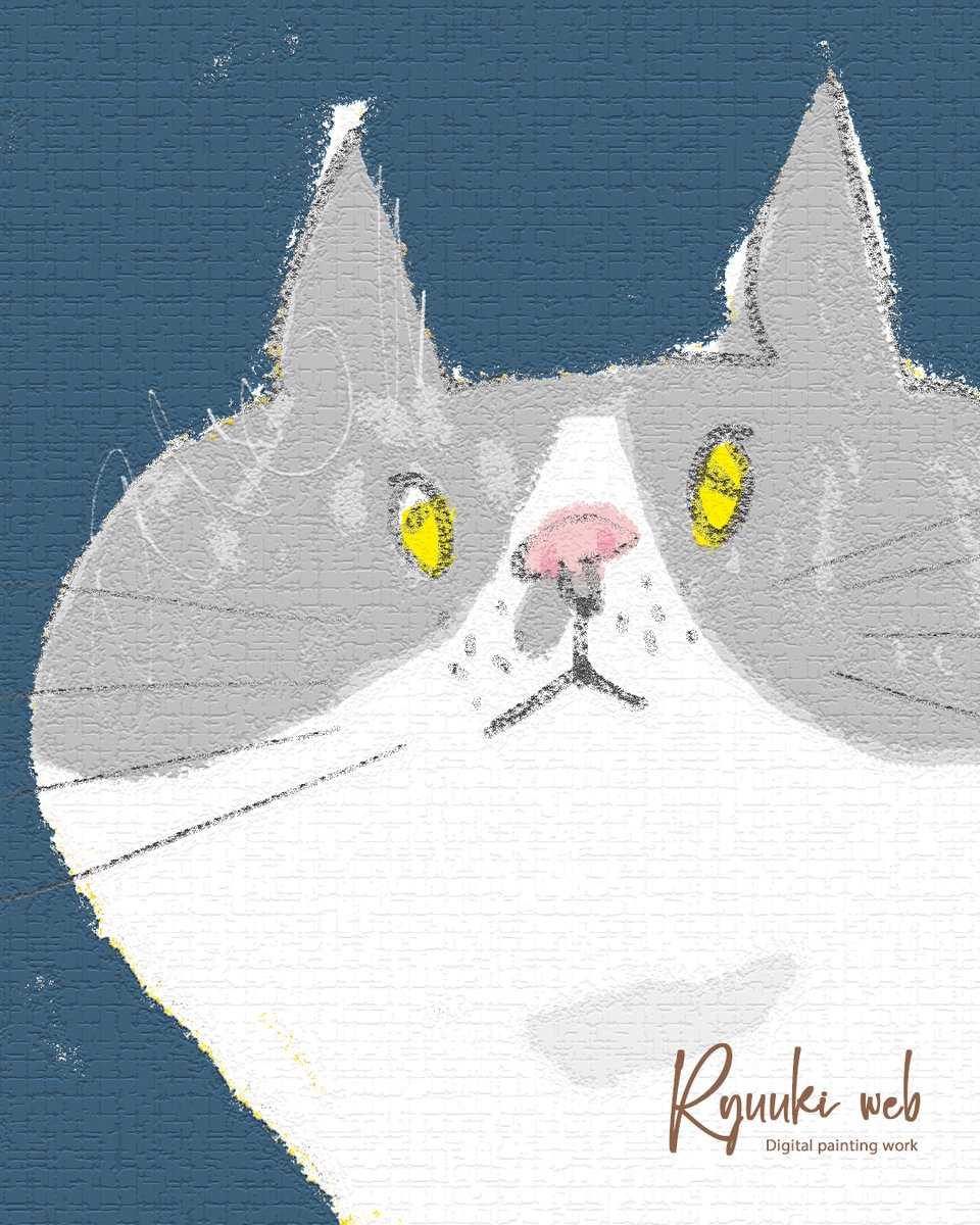 ryuukiweb's tweet image. 猫のマルコが家猫になって今日で8年目という
家族以外どうでもいい情報

#イラストレーション #家猫記念日