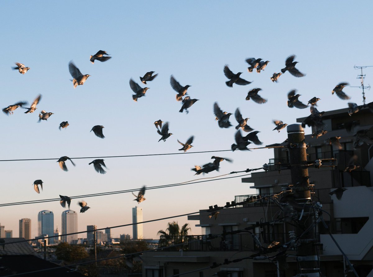 馬込将充 (@_mago0108) on Twitter photo 