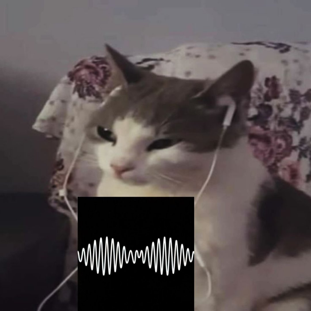 arcticmolnkeys's tweet image. literally me