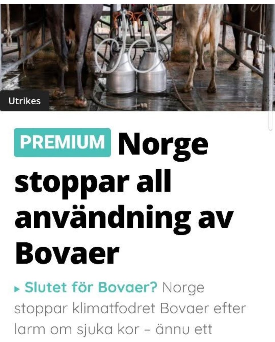 Emma Ståhl (@emmasofiastahl) on Twitter photo 