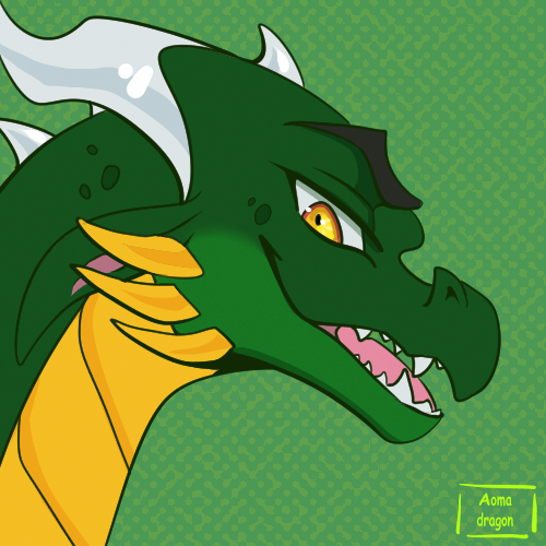 Aomadragon tweet media