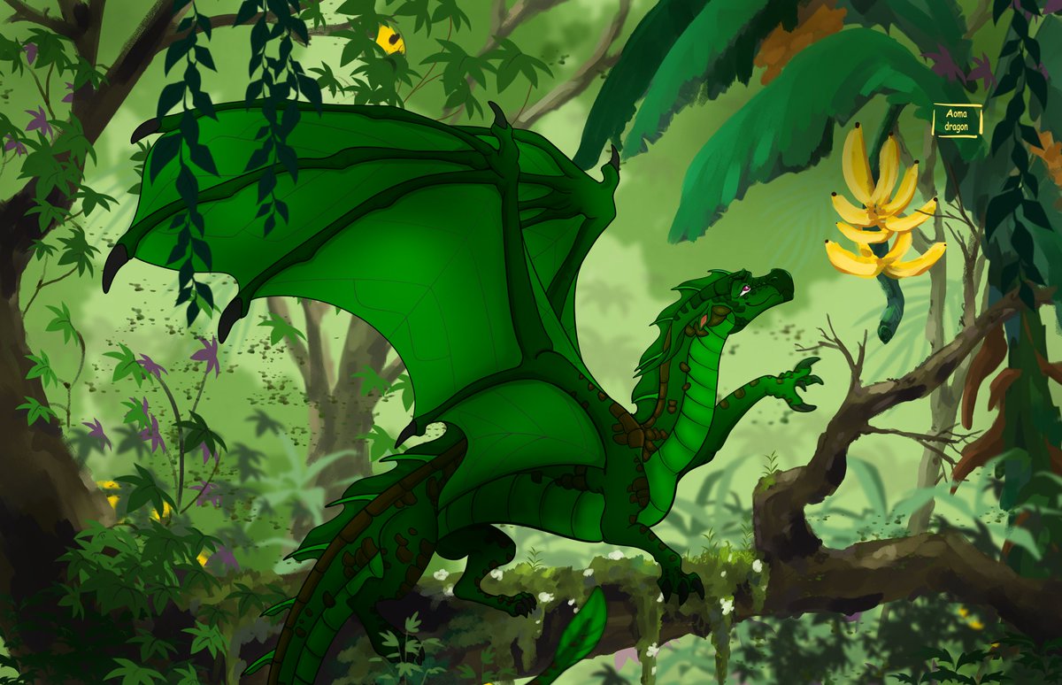 Aomadragon tweet media